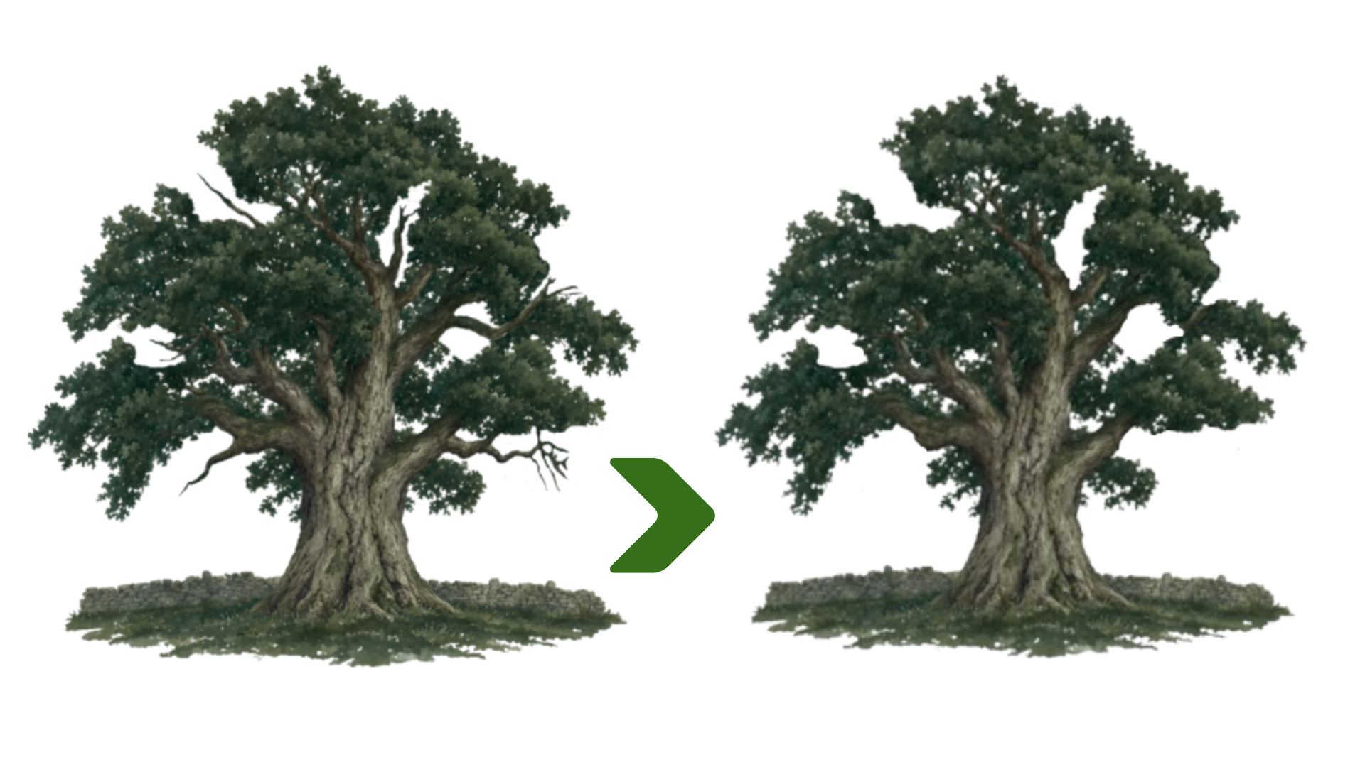 Deadwooding Example