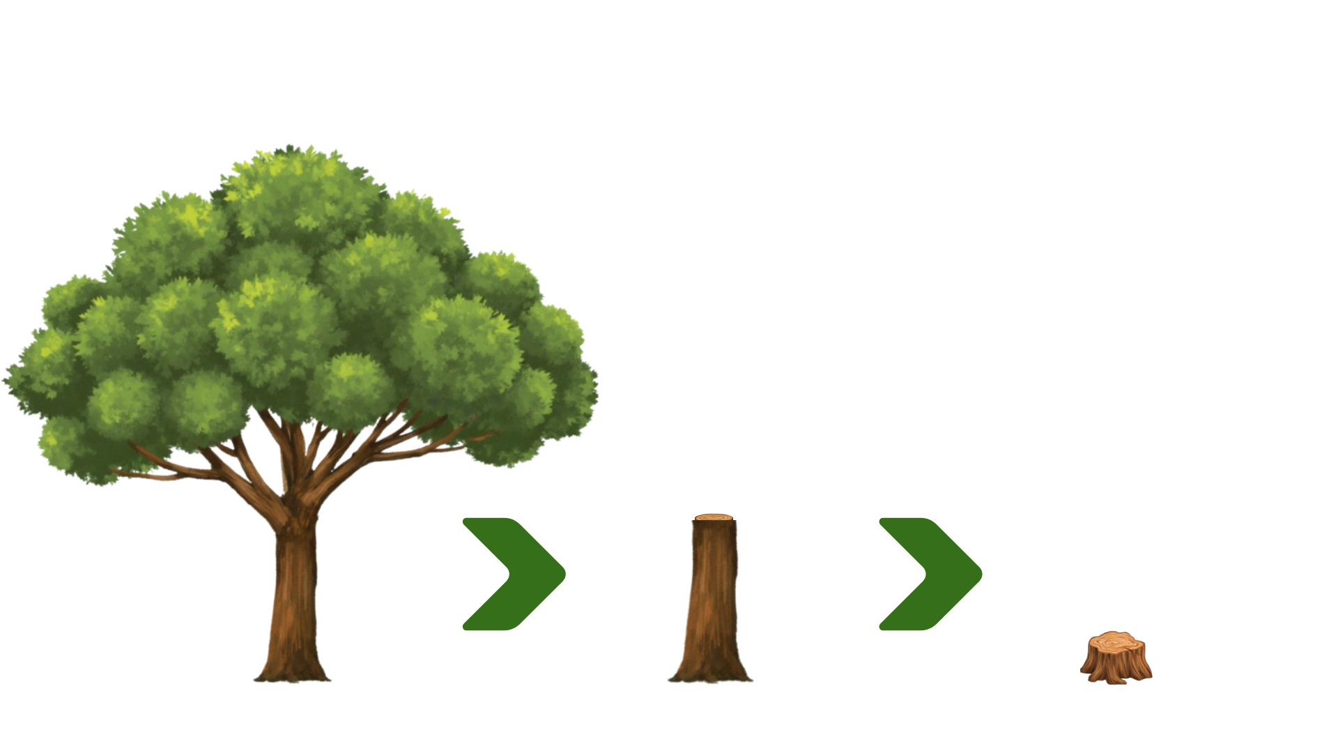 Dismantled Tree Diagram