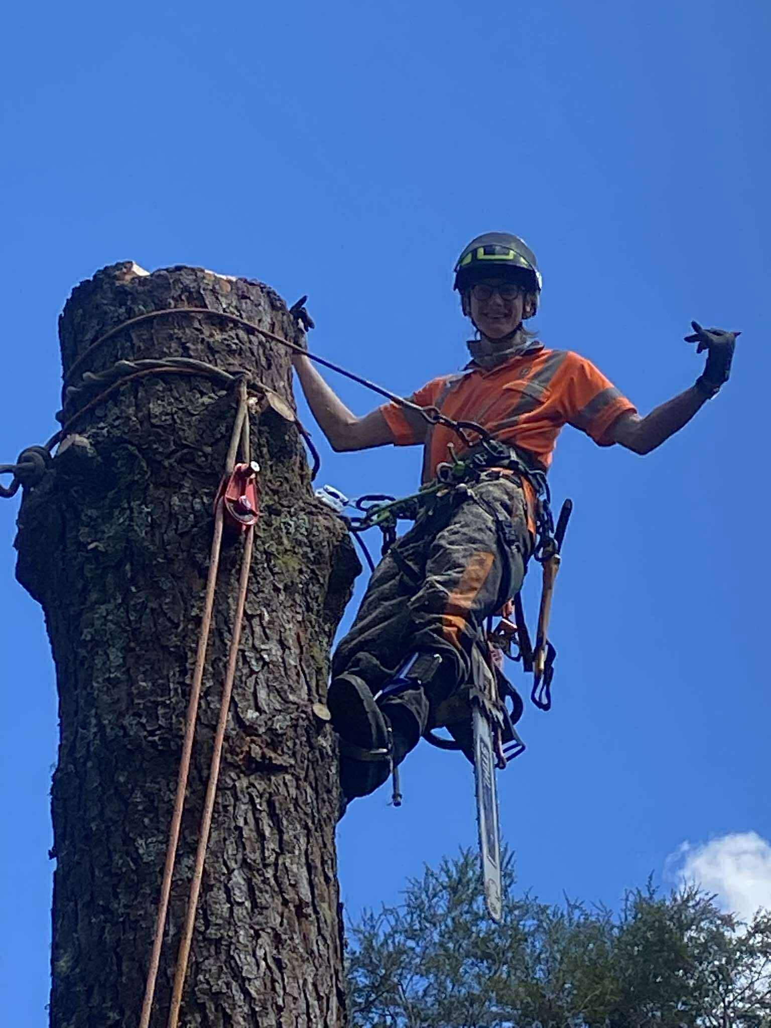 George advanced tree work