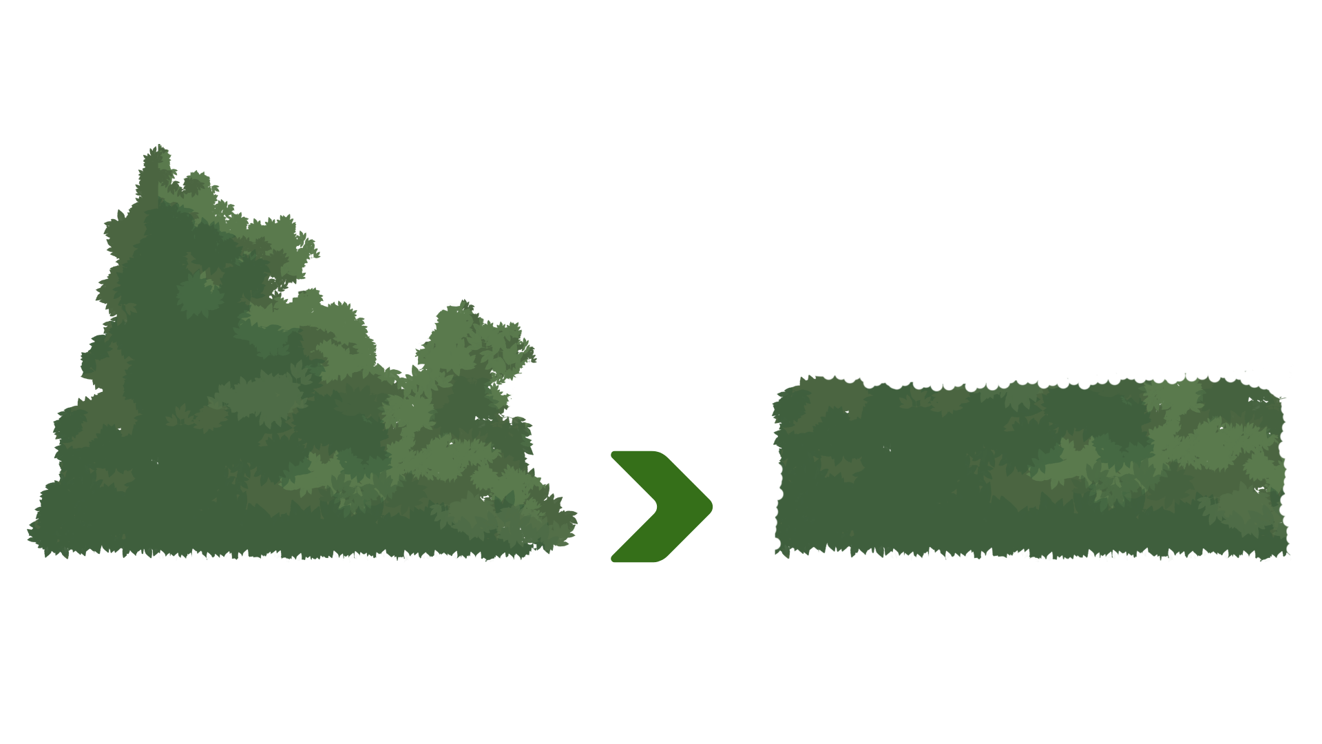 Hedging Example
