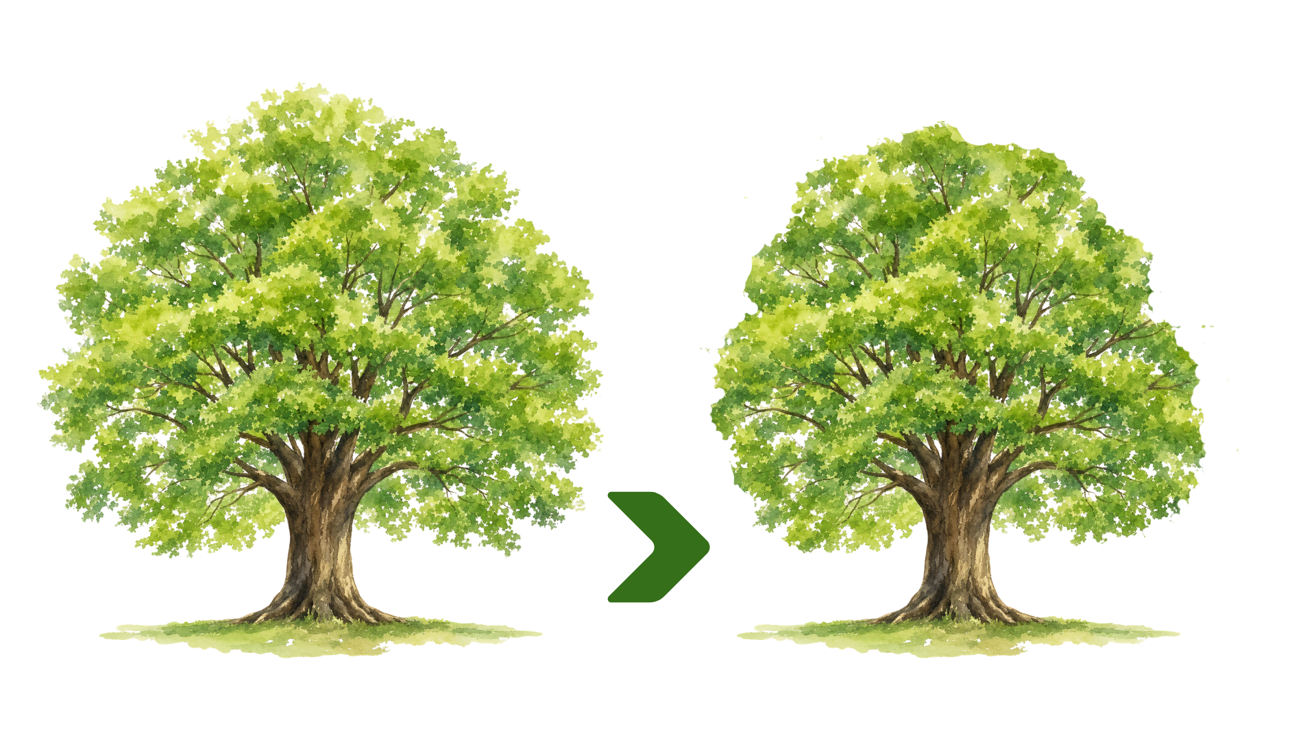 Crown Reduction Example