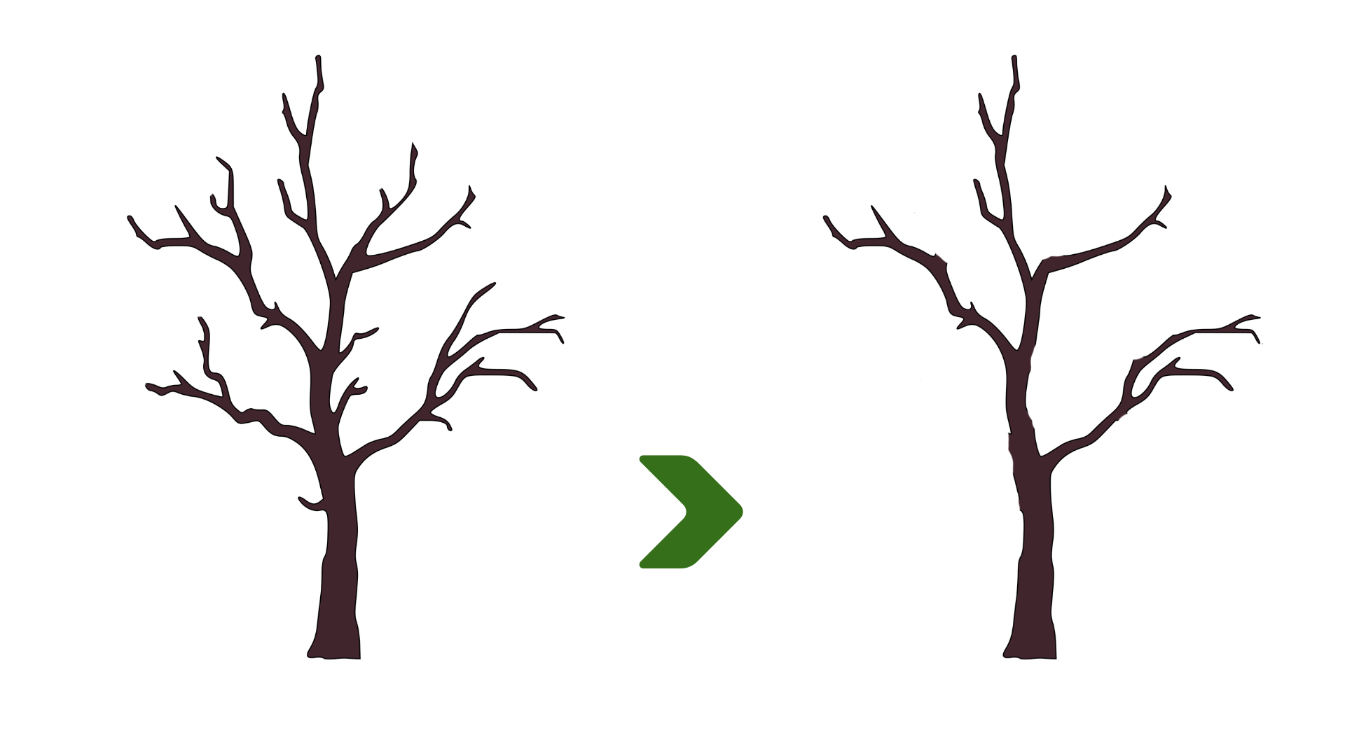 Structural Pruning Example