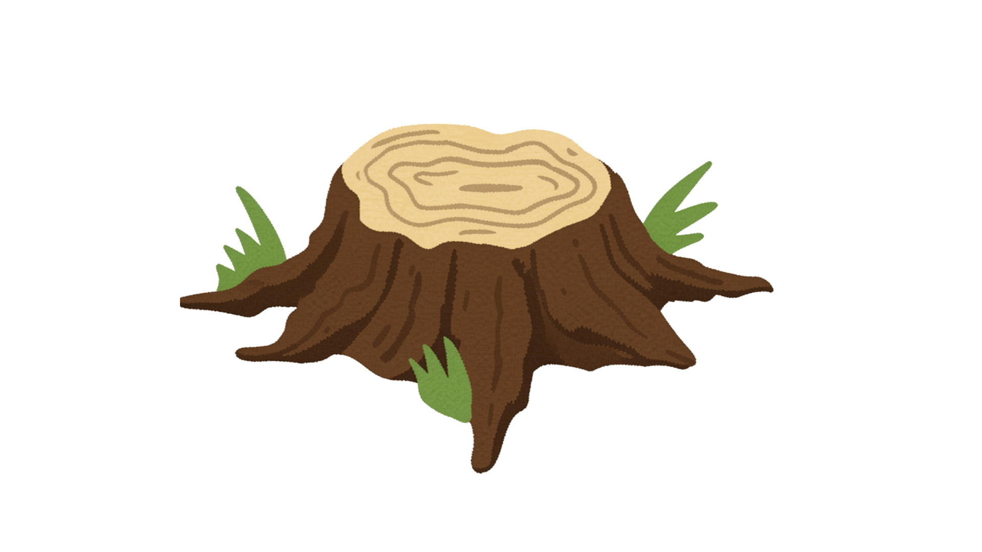 Tree Stump